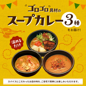 【ナチュラルファーム菓樹】スープカレー 3種セット _NK0806