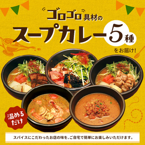 【ナチュラルファーム菓樹】スープカレー 5種セット _NK0906