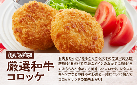 お肉屋さんの定番 おかず ！ お試し 18個 K002-018_01 肉 牛肉 惣菜 総菜 冷凍