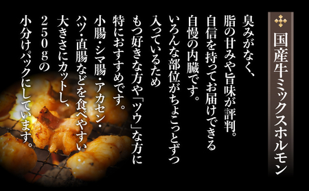 焼肉・お鍋に！ミックスホルモン750g（250g×3パック） K002-005_01 肉 牛肉 冷凍