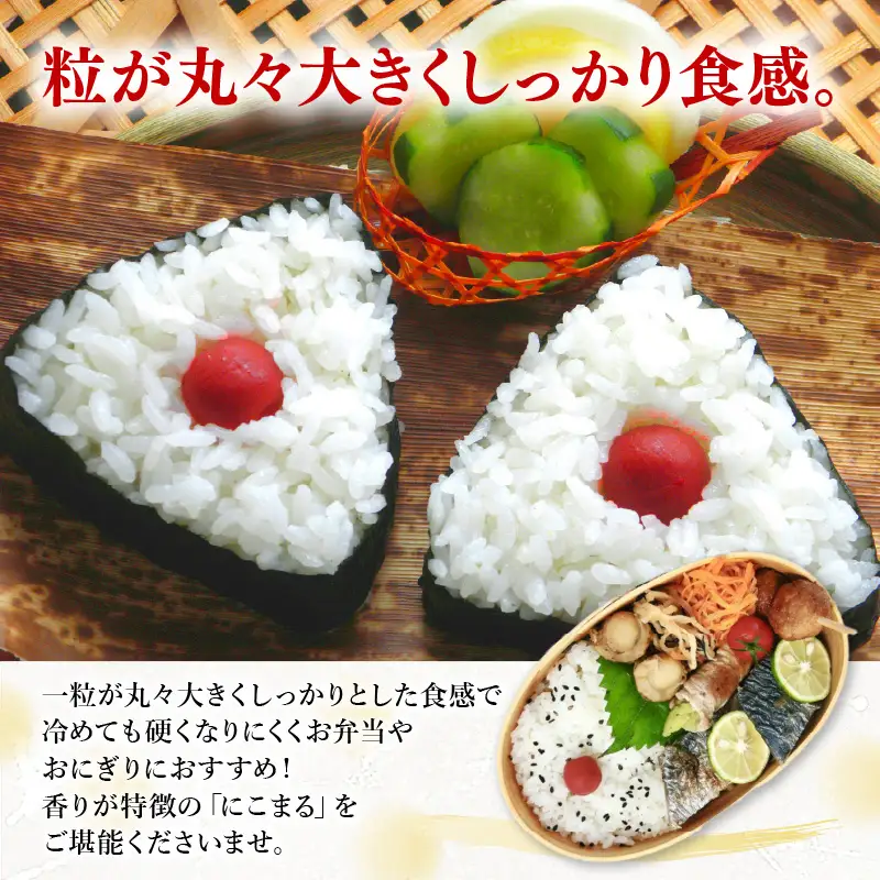 【先行予約】【令和8年産】化学肥料不使用 にこまる精米4kg(真空パック1kg×4袋) / 白米 米 福井県産 美味しい 特別栽培米 旨味 甘み 歯ごたえ エコファーマー 冷蔵保管米 ※2026年10月下旬以降順次発送 [aw010-a057]