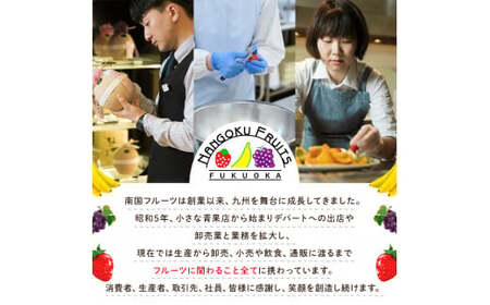 ＜先行予約受付中！2026年8月上旬～2026年10月中旬に順次発送予定＞いちじく とよみつひめ(約300g×4パック) ＜離島配送不可＞【ksg1229】【南国フルーツ】