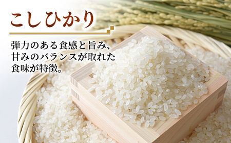 令和7年産 こしひかり あきたこまち (5kg×1袋ずつ) 計10kg 食べ比べ 中山産業 【価格変更AB】
