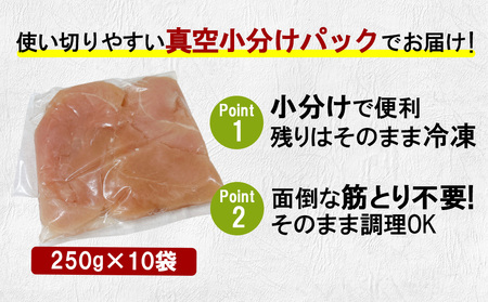 宮崎県産 若鶏筋なしささみ 2.5kgセット (250g×10袋) 鶏肉 ささみ 鶏ささみ 小分け 真空パック 冷凍 国産 宮崎県産 九州 送料無料