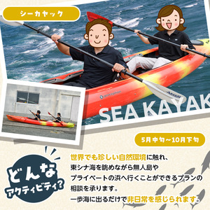 期間限定実施 シーカヤック体験チケット(1日/2名) 阿久根 シーカヤック アウトドア アクティビティ 自然 体験 ツアー チケット マリンスポーツ【パズル】akn098-13