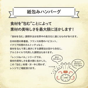 レンジ 簡単 紙包み 煮込み 【ハンバーグ】 グレイビーソース ハンバーグ