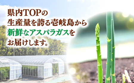 【お中元】【アスパラガス専門農家が作る！】壱岐産アスパラガス1kg(2Lサイズ)  ≪壱岐市≫【きたじま農園】 [JGI002]