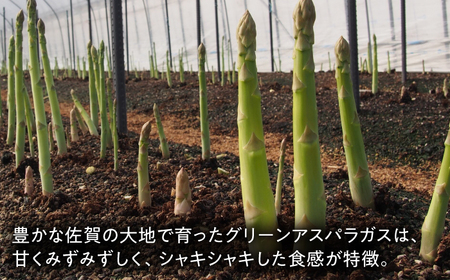 夏芽アスパラガス 計1kg（〇Lサイズ） / アスパラガス / 佐賀県 [41AABE104]