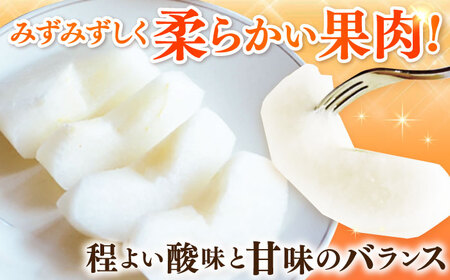 【2026年発送分 先行予約】【化粧箱入り】豊作（豊水）3個入（約1.2kg） / 佐賀県 / 大川三世代 [41AEAB005]