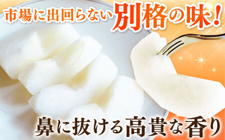 【2026年発送分 先行予約】【化粧箱入り】麗（秋麗）3個入（約1.2kg） / 佐賀県 / 大川三世代 [41AEAB007]