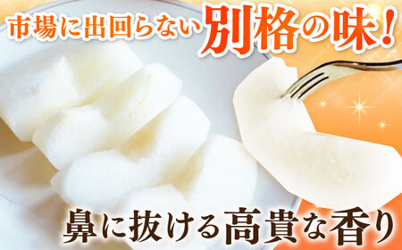 【2026年発送分 先行予約】【化粧箱入り】麗（秋麗）5-6個（約2.3kg） / 佐賀県 / 大川三世代 [41AEAB008]
