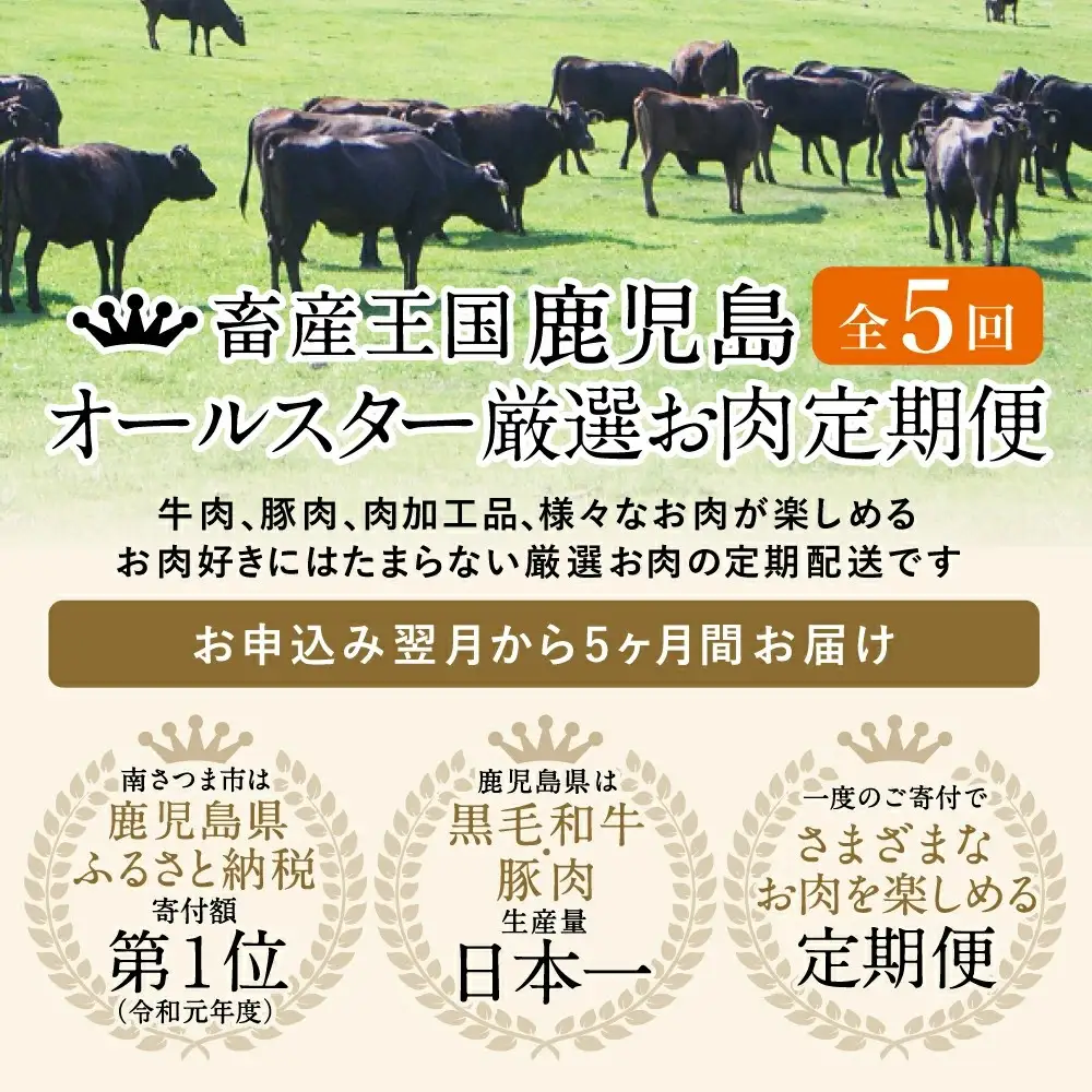 【お試し版】オールスター厳選お肉定期便（全5回） 牛肉 豚肉 すき焼き しゃぶしゃぶ 赤身 焼肉 冷凍 定期便 鹿児島 南さつま市