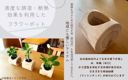 「年輪の力」生活雑貨 杉間伐材のフラワーポット 花瓶