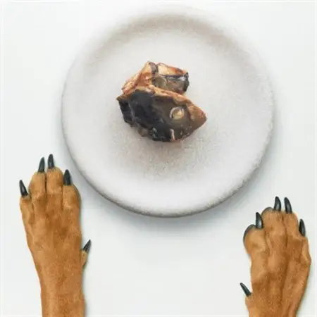 【犬猫用】Fresh fish 037 減塩レトルト 鰤(ぶり) 4個セット_ ペット用品  _【1525613】