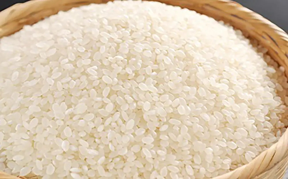 令和7年産 近江米 キヌヒカリ 10kg ( 5kg × 2袋 ) 環境こだわり米【AB63W】 白米 きぬひかり