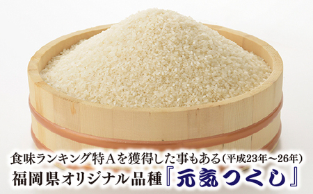 AB581.特Ａも獲得した自慢のお米『元気つくし』５ｋｇ【元気つくし】