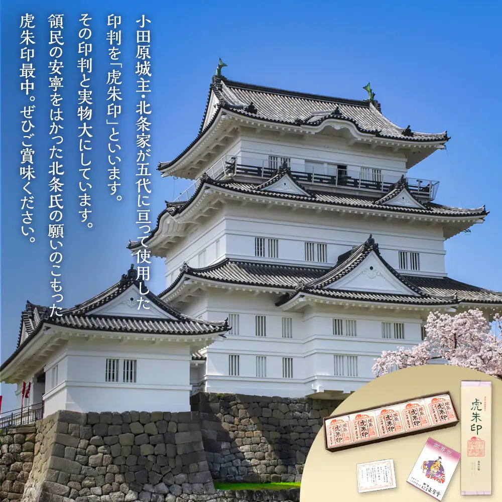 【小田原北条氏ゆかりの虎朱印の形をした最中 10個セット】小田原の老舗菓子店「正栄堂」の代表銘菓神奈川県指定銘菓登録商品。【 和菓子 神奈川県 小田原市 和菓子】
