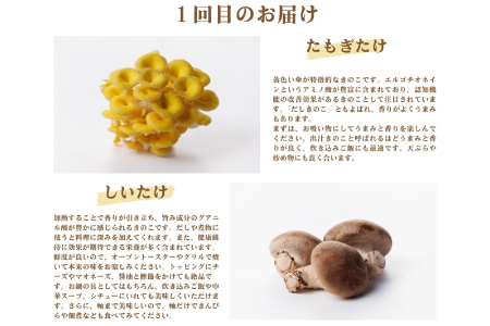 【3回定期便】オーガニックきのこ 5種 定期便