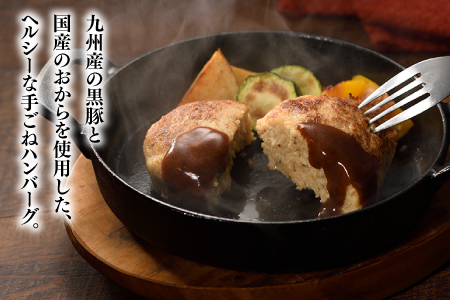 A1454.九州産黒豚おからハンバーグセット
