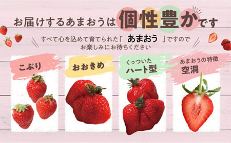 ZI368.人気№１獲得謝礼品★限定品★あまおう約８１０g（先行受付．２０２７年２月以降発送）