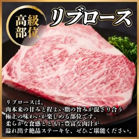 飛騨牛　リブロースステーキ　約200g_肉 ステーキ 牛肉 ビーフステーキ_【配送不可地域：離島】【1530698】