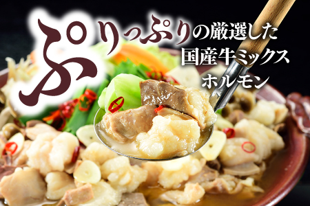 AB584.工場直販.得用もつ鍋（白みそ）８～１０人前【もつ鍋・味噌味】