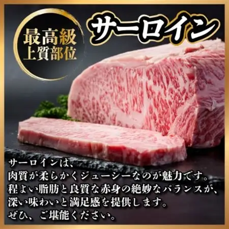 飛騨牛　サーロインステーキ　約200g【冷蔵便】A4～A5等級_肉 ステーキ 牛肉 ビーフステーキ_【配送不可地域：離島】【1530715】