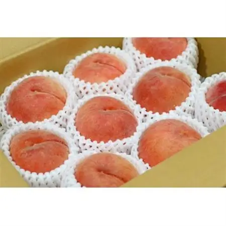 【2026年発送】フルーツ王国　長野県信州直送　「旬な桃」　あかつき　約3kg(9～12玉)【配送不可地域：離島】【1530512】