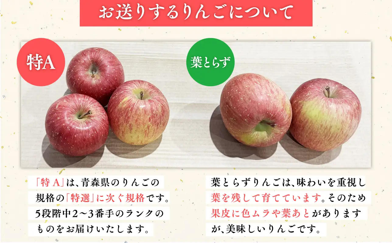 【レビューキャンペーン】《1月発送》 サンふじりんご 「 特A 」規格 約5kg (14～20玉程度)[hi-0009-005]