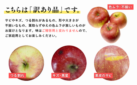 【レビューキャンペーン】12月発送 訳あり 家庭用 葉とらず サンふじ 約10kg  青森県産りんご[hi-0009-015]