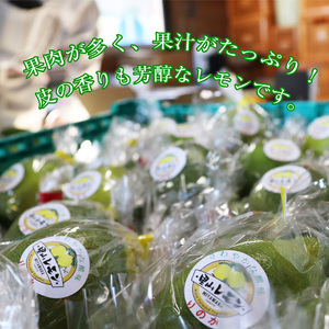 M568【里山レモンの会】宮若市特産品 レモン 約2kg【りのか】