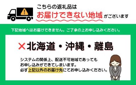 AB144.★限定品★あまおう（４００ｇ×２パック）／２０２７年１月下旬～４月発送