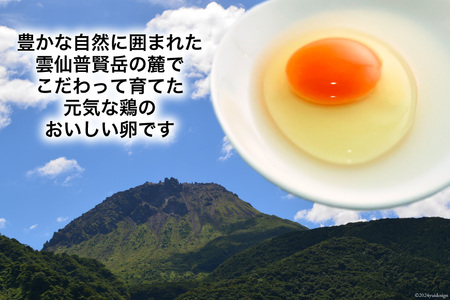 BI047 6回 定期便 どっさり！ 雲仙たまごLサイズ 160個(150個＋割れ補償10個入り) [長崎県 島原市]