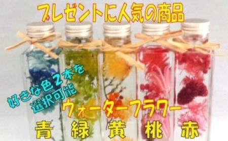 AE170.プレゼントに人気．ウォーターフラワー（２本選択）