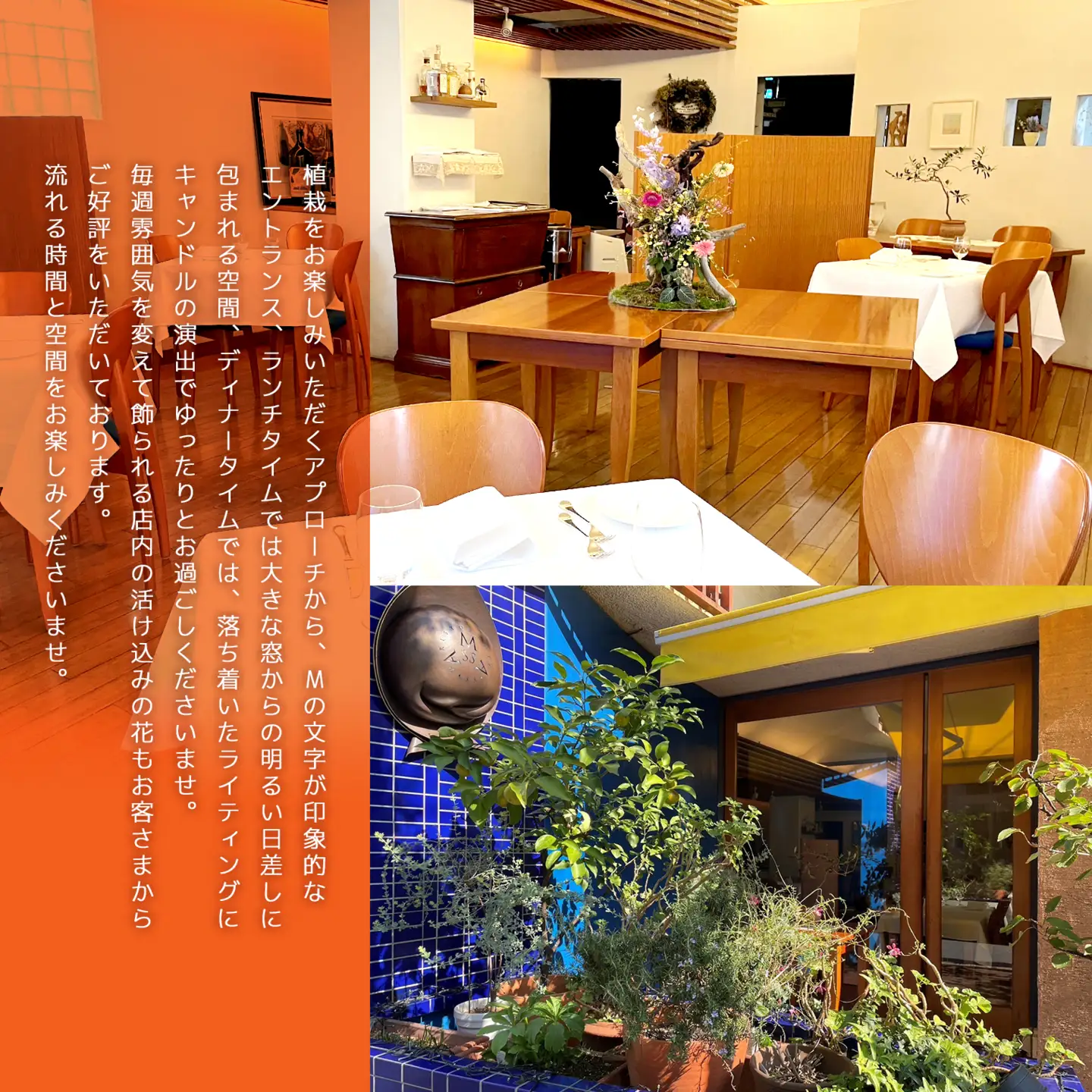 K2360 恵比寿の大人気! 高級イタリア料理店 リストランテ・マッサ  茨城県境町 特別コース お食事券ペアチケット