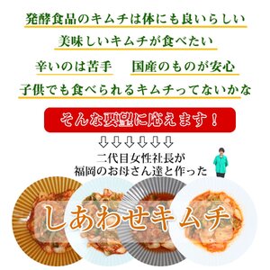 ふくつの母心の「こどもキムチ」200g×8袋　計1.6kg[H4431]