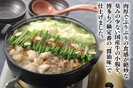 AE175.【博多華味鳥】もつ鍋セット（醤油味）／3～4人前【もつ鍋・醤油味】
