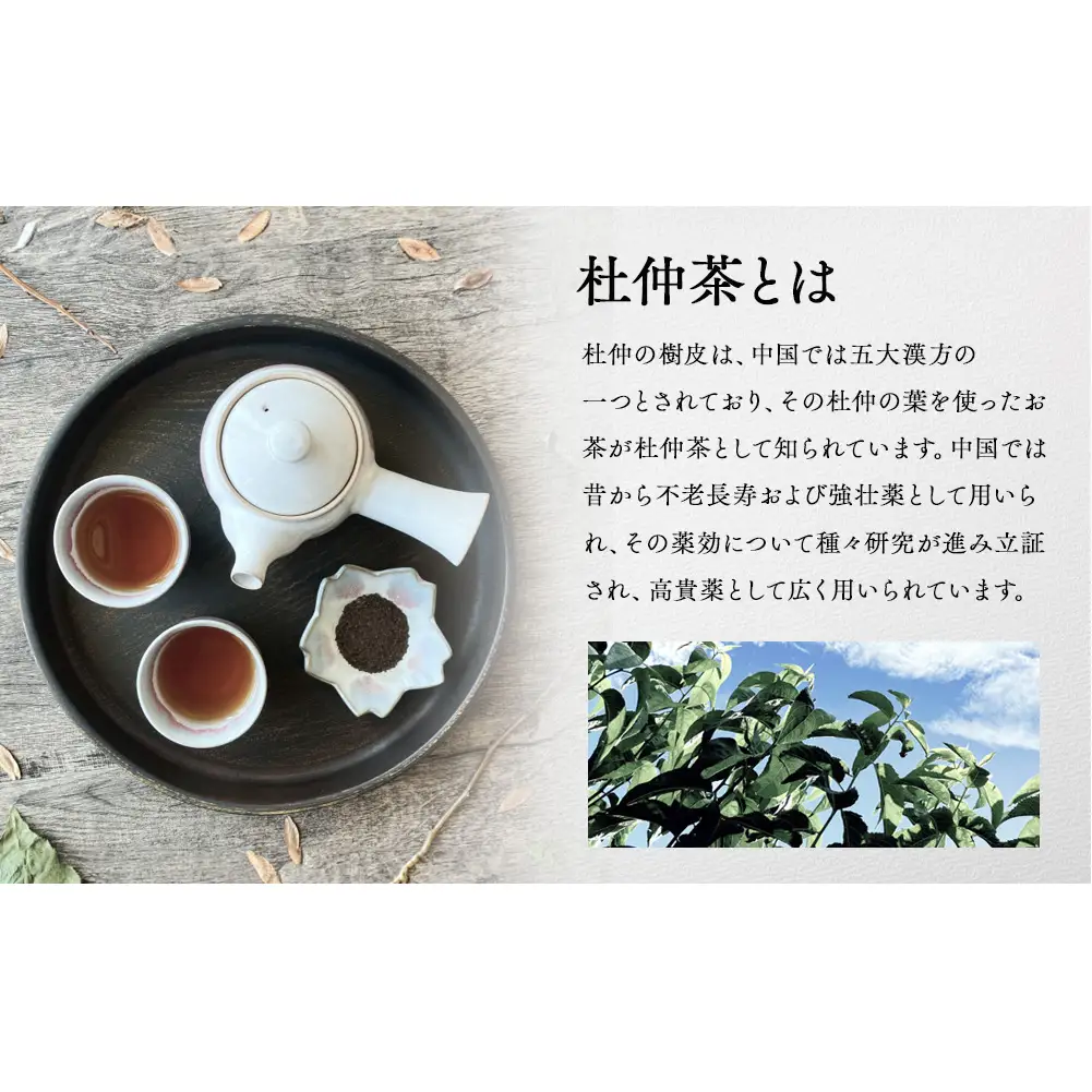 信州伊那谷謹製 杜仲茶15パック 100%国産杜仲茶葉 ノンカフェイン お茶 茶 健康 飲料 ドリンク 飲み物 信州 長野 長野県