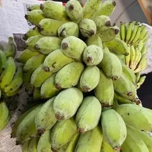 黄金バナナ（アップルバナナ）約3kg （CF001-1）