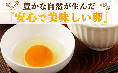 こだわり のざわ卵 32個 (1箱16個入り×2箱) 【田原本町×吉野町共通返礼品】 ／ 野澤養鶏 おいしい たまご 玉子 生卵 鶏卵 濃厚 奈良県鶏卵品評会最優秀賞受賞 奈良県