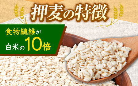 押麦「長崎御島」 1kg×10袋 計10kg / 麦 むぎ 押麦 はだか麦 麦味噌 雑穀 雑穀米 食物繊維 長崎県産 米 こめ コメ ※ / 諫早市 / 有限会社伊東精麦 [AHBU009]