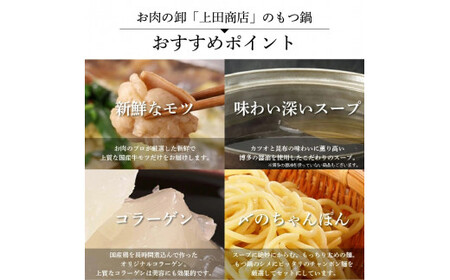 B445.《肉屋厳選“国産牛もつ鍋”》博多もつ鍋セット（醤油）５人前／限定５０個【もつ鍋・醤油味】