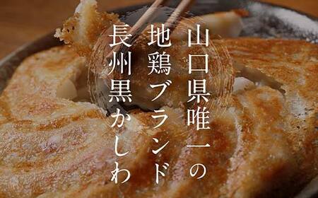 長州黒かしわ餃子 120個入り 手作り 生餃子 餃子 国産野菜 冷凍 化学調味料不使用 化学調味料無添加 らいちの餃子 黒かしわ 長州黒かしわ F6L-953