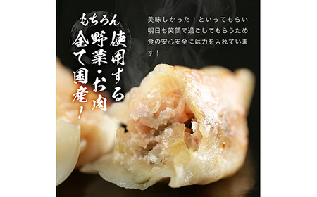 長州黒かしわ餃子＆豚餃子 食べ比べセット 48個入り 手作り 生餃子 餃子 国産野菜 冷凍 化学調味料不使用 化学調味料無添加 らいちの餃子 黒かしわ 長州黒かしわ F6L-954