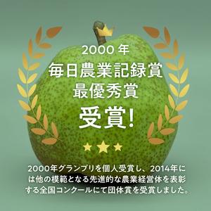 【2026年発送】西洋梨《ラ・フランス》約2.8kg（4～11玉）光センサーで糖度14度以上を確認済 [h039]