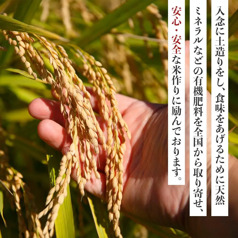 先行予約 【令和8年産 新米】 ミルキークイーン 3kg（農薬・化学肥料不使用）