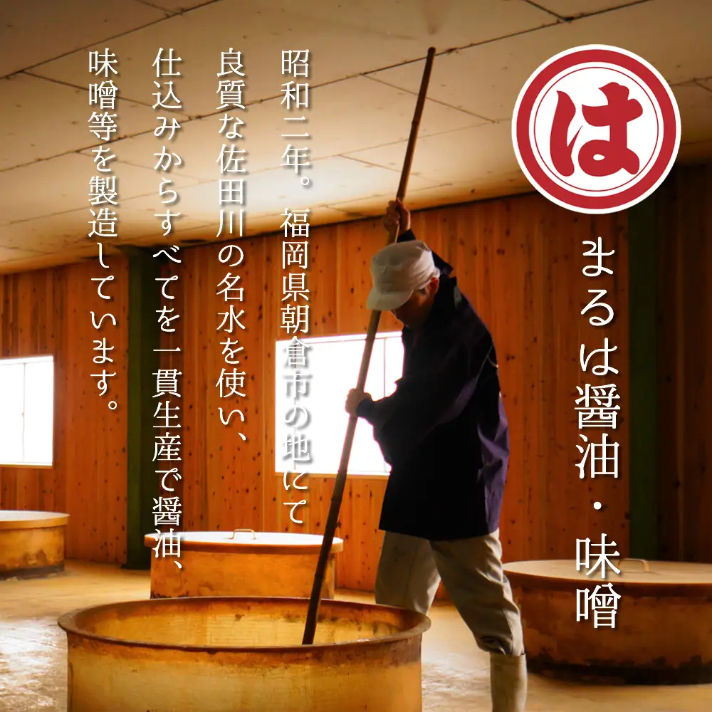 博多もつ鍋セット(九州醤油仕立て) 2～3人前 国産牛もつ300g 4K16