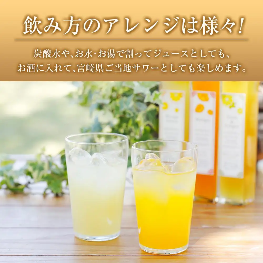 ◆宮崎ハンドメイド　日向夏シロップ×3本セット(合計600ml)