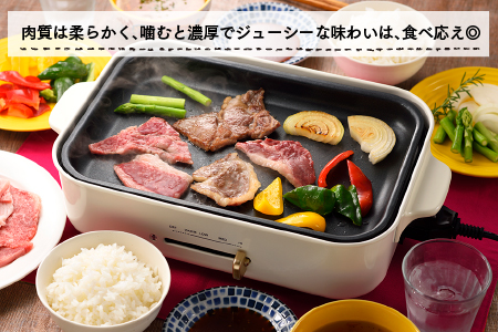 C112.A5ランク博多和牛カルビ（焼肉用）400g