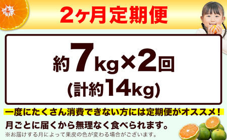【先行予約】【2ヶ月定期便】訳あり みかん ひとくちもぎたてみかん約7kg (3.5kg×2箱)  S-3Sサイズ 訳あり S SS 3S ご家庭用 14kg 熊本県産 （荒尾市産含む） 小玉みかん 訳ありみかん ご家庭用みかん フルーツみかん 熊本みかん ちょっと訳あり 期間限定 フルーツ 秋 旬 柑橘 小玉 みかん 温州みかん《10月上旬-11月末頃出荷》 美味しいみかん 旬のみかん ジューシーみかん フルーツみかん 